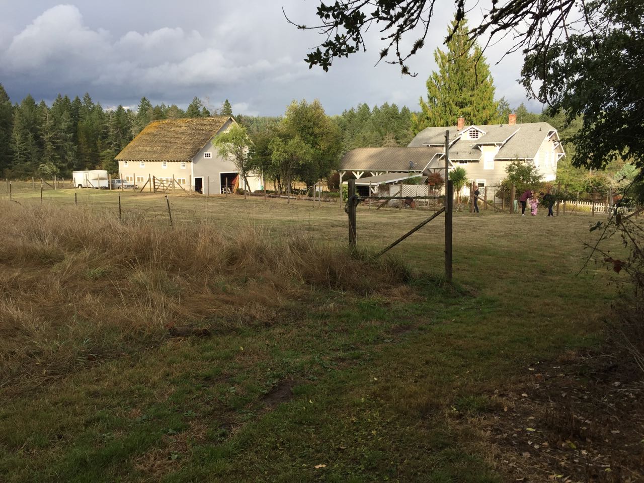 Exploring Anderson Island