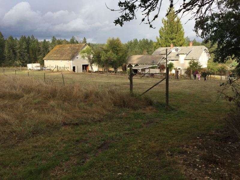 Exploring Anderson Island