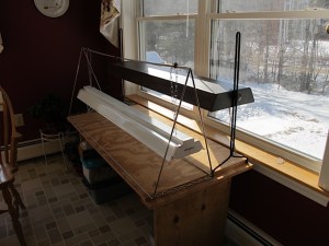 grow lights, seed starting