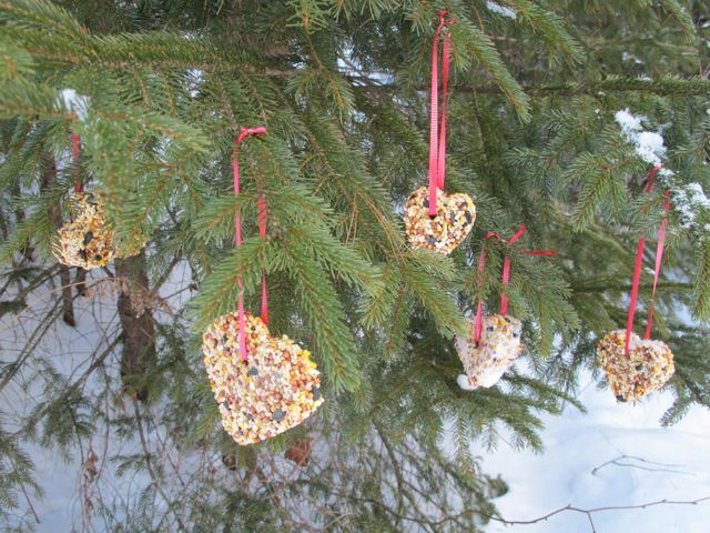Treats for the birds!