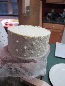 Cheese after the first pressing hard cheese, Colby cheese