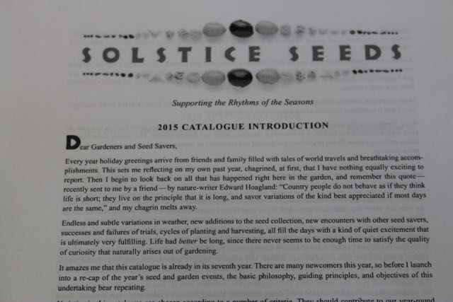 Solstice Seeds