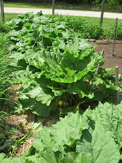 barter, FreeCycle, Prudent Living, Frugal Tips