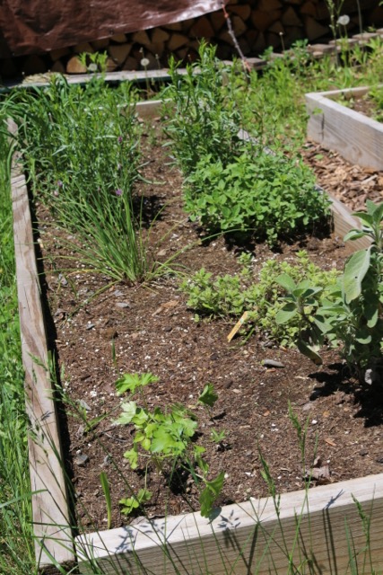 Herb bed