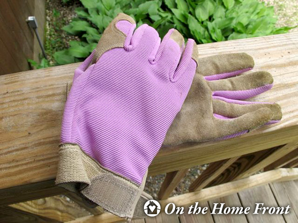 Working hard in the garden!