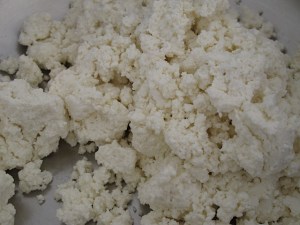 Fresh ricotta ricotta, lasagna