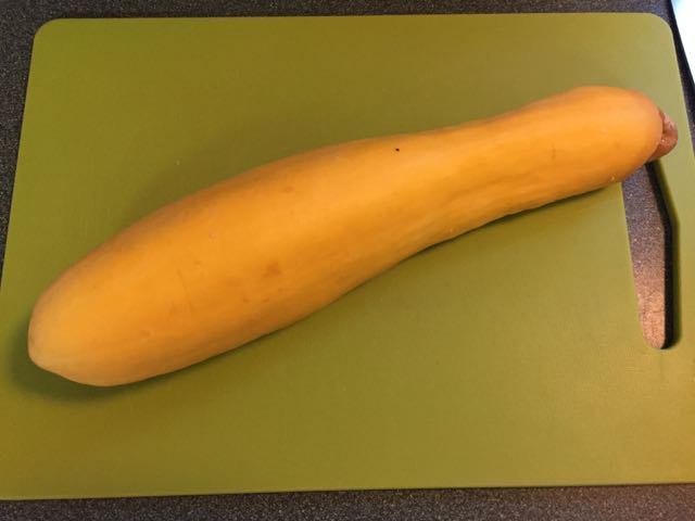 saving cucumber seeds