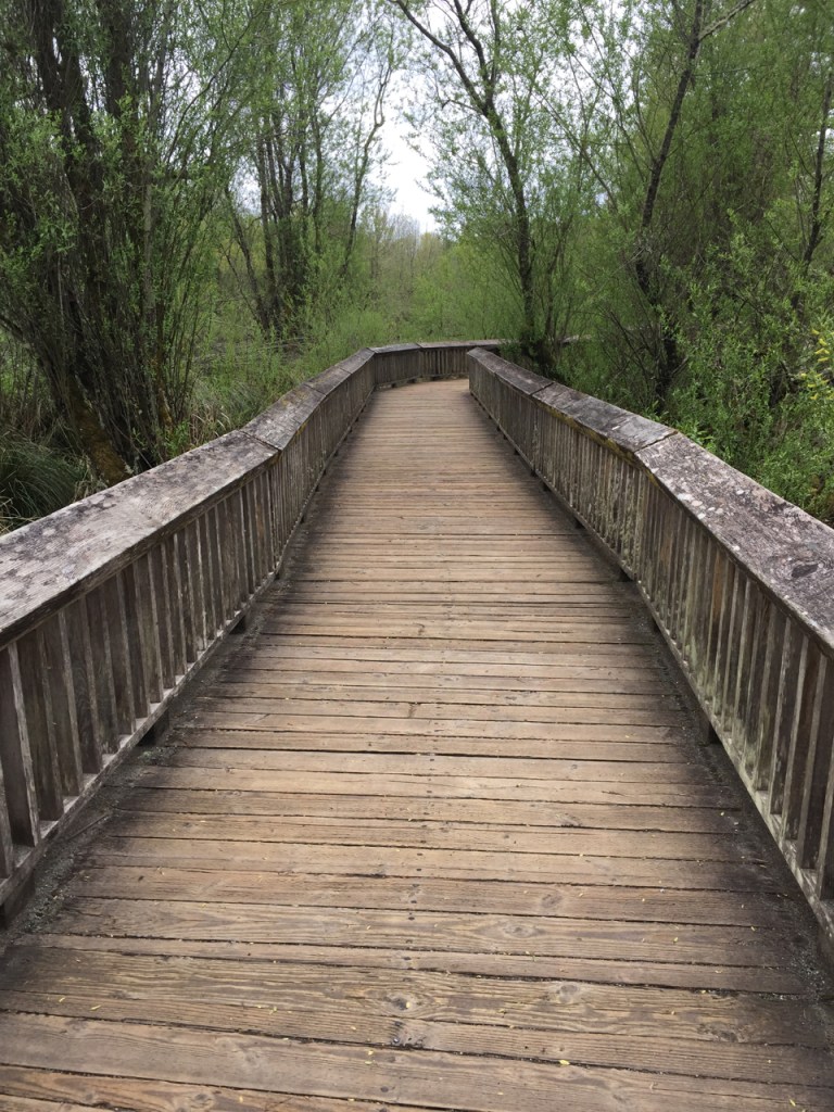 Exploring the Nisqually National Wildlife Refuge