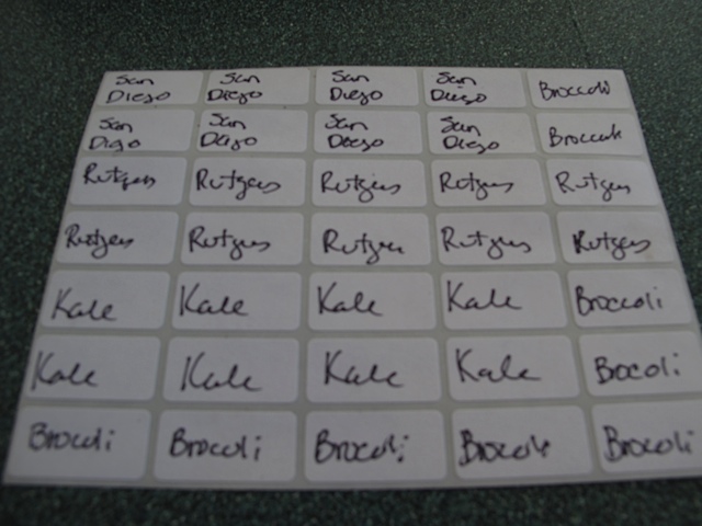 labels, plants, prudent living.