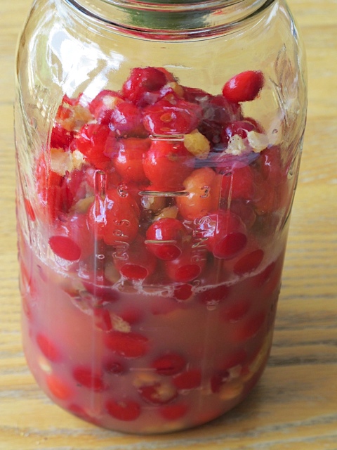 sour cherries cordial, sour cherries