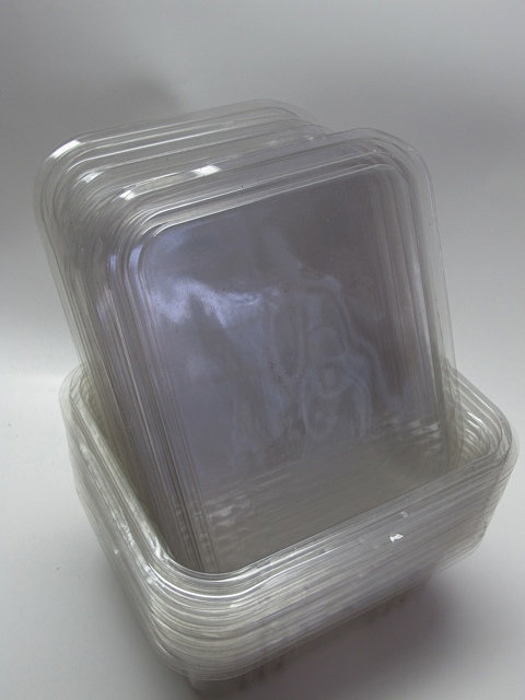 starting seeds Indoors