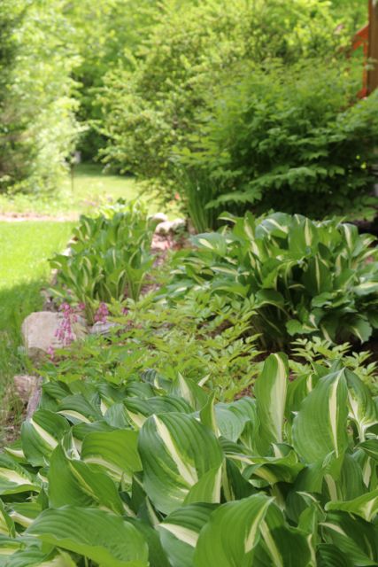 Nicely filled out garden bed.