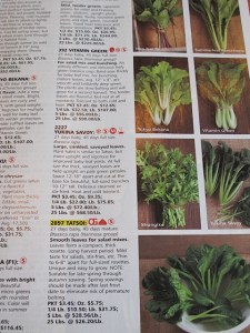 Johnny's seeds, vegetable gardening, home gardening
