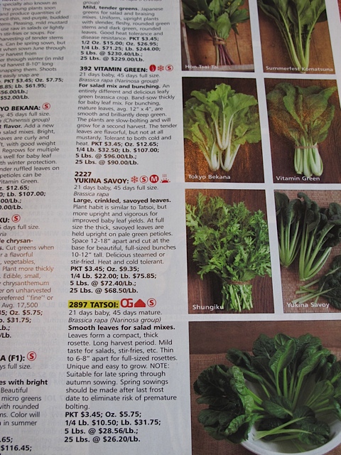 Johnny's seeds, vegetable gardening, home gardening