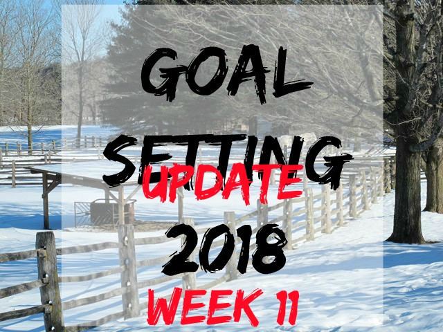 goal-setting