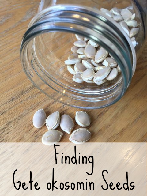 finding gete okosomin seeds