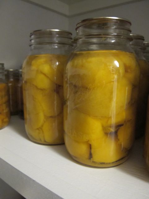 Peaches in the Pantry.
