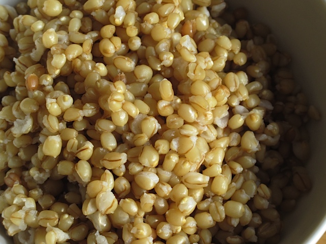 wheat, prudent living, prudent pantry