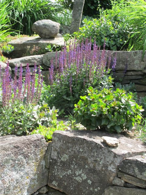 Spring is on the way!