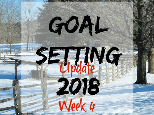 goal-setting 4