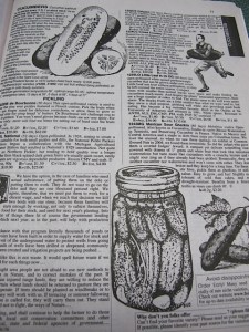 Fedco, seeds, vegetable gardening