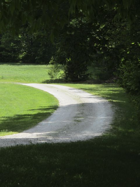 Thanks for stopping by!