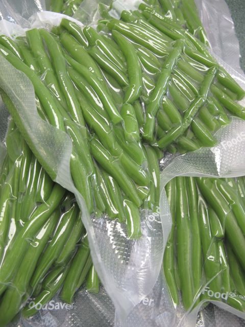 Beans for the freezer!