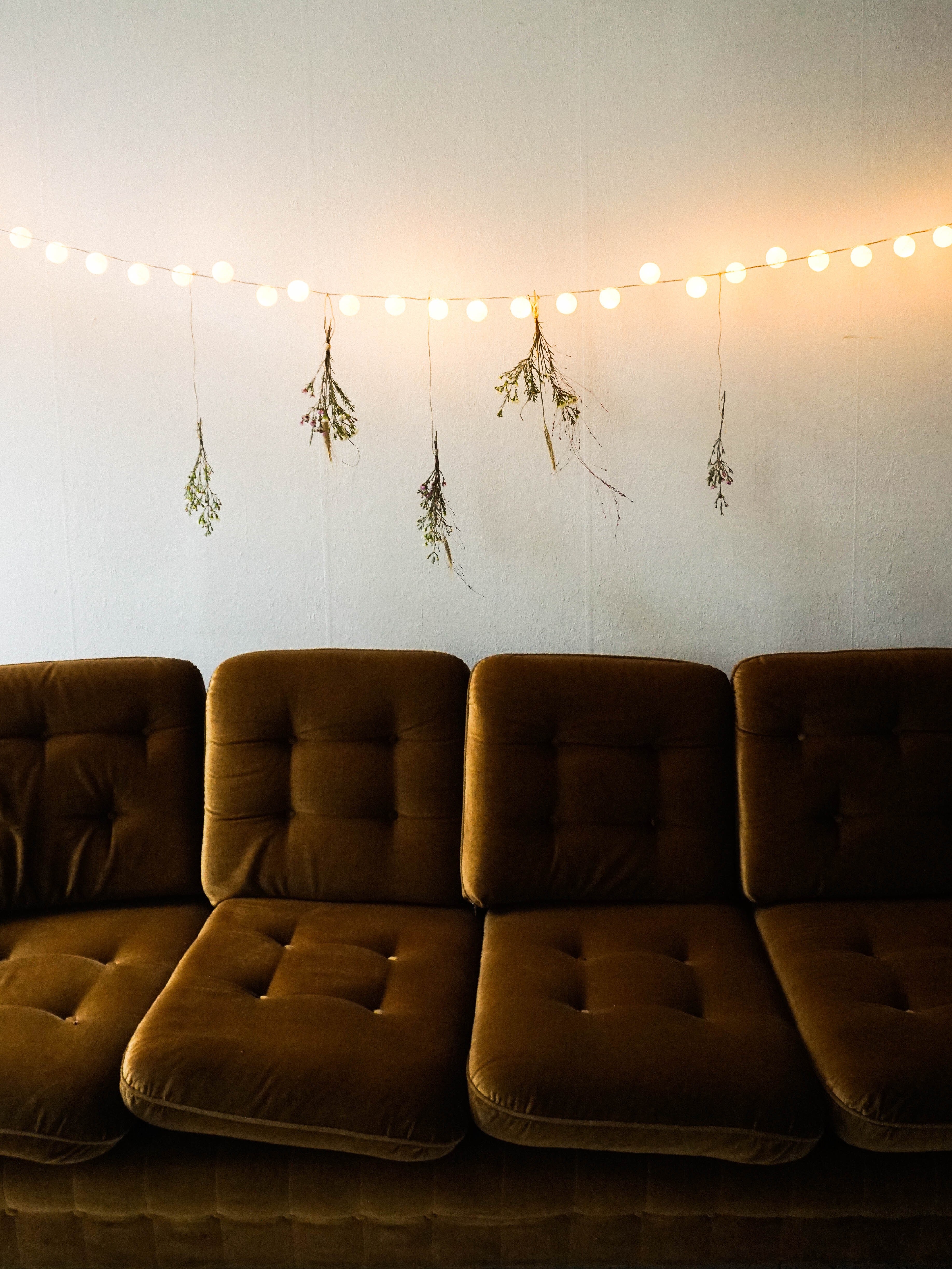 holiday lights