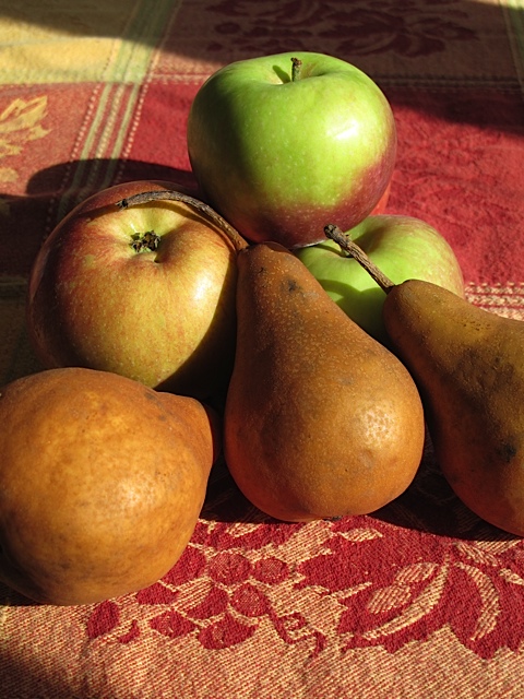 marmalade, fall fruit