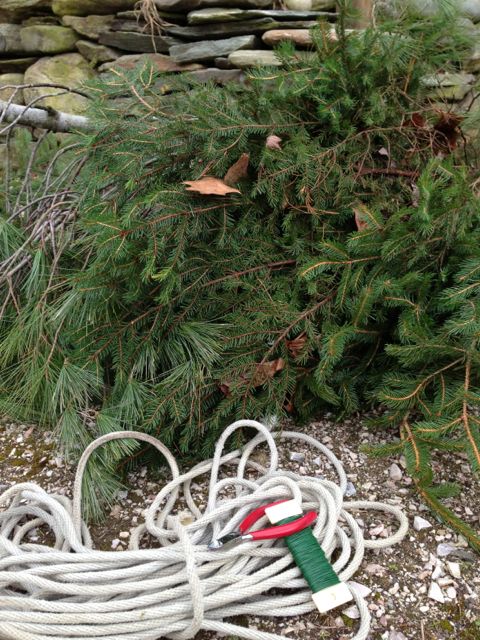 garlands, prudent living