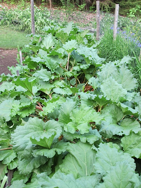 canning, prudent pantry, prudent living