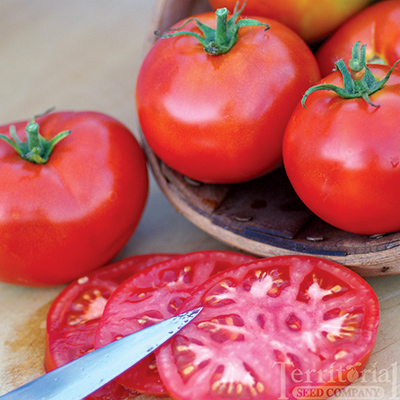 Burbank Tomato