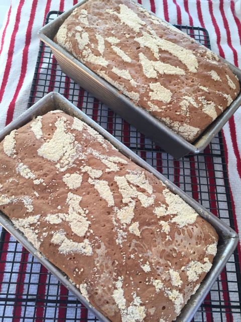 English muffin bread