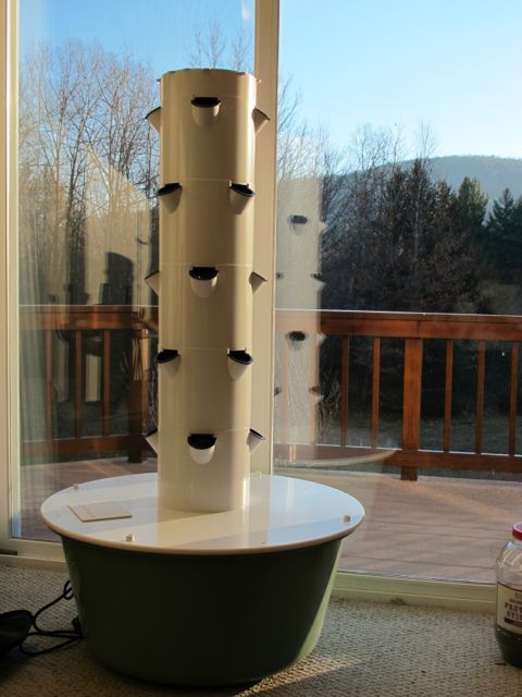 gardening, prudent living