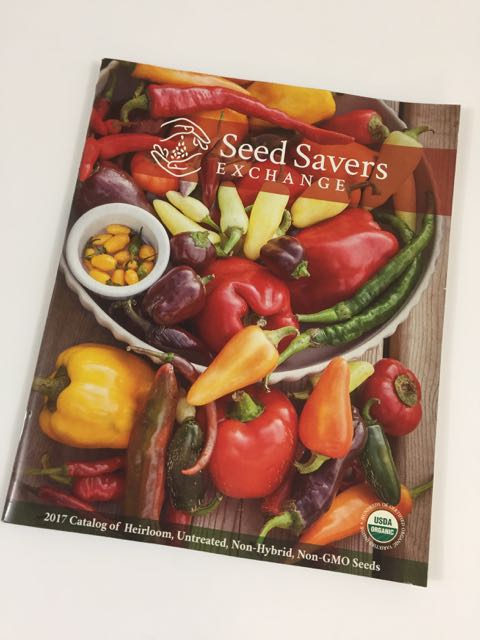 seed catalog time
