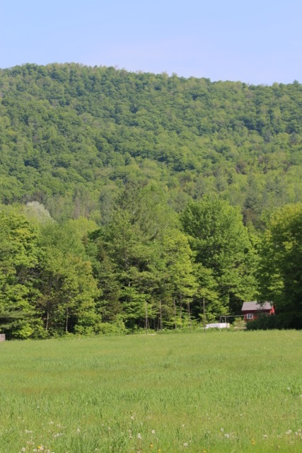 June in Vermont