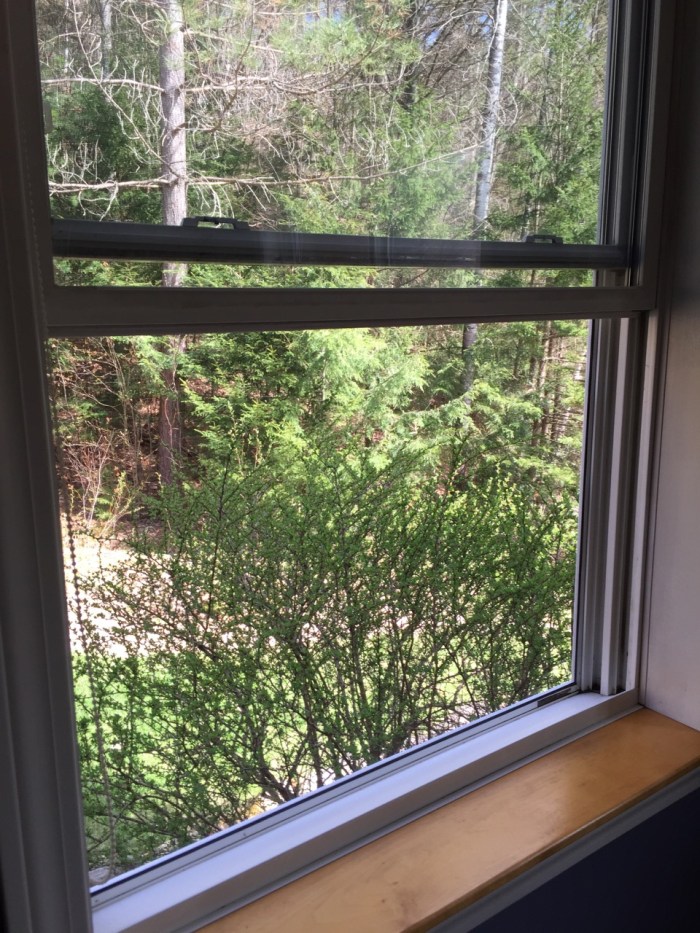 tips to sell your house