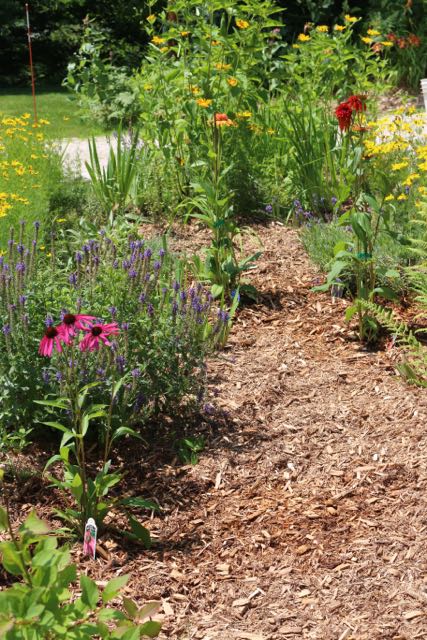 Mulched Garden
