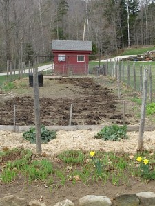 Garden view Vermont garden, spring, Vermont