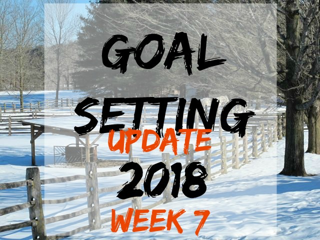 goal-setting 7