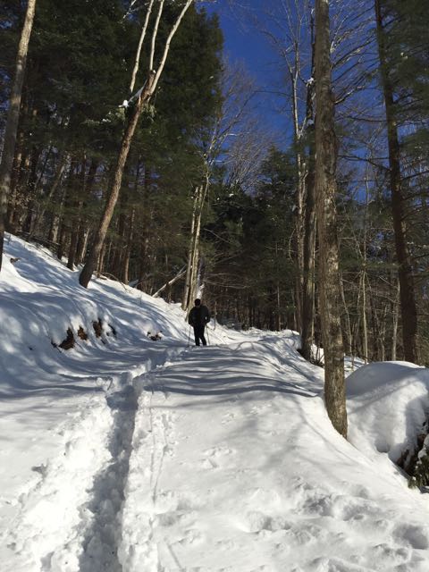 snowshoeing