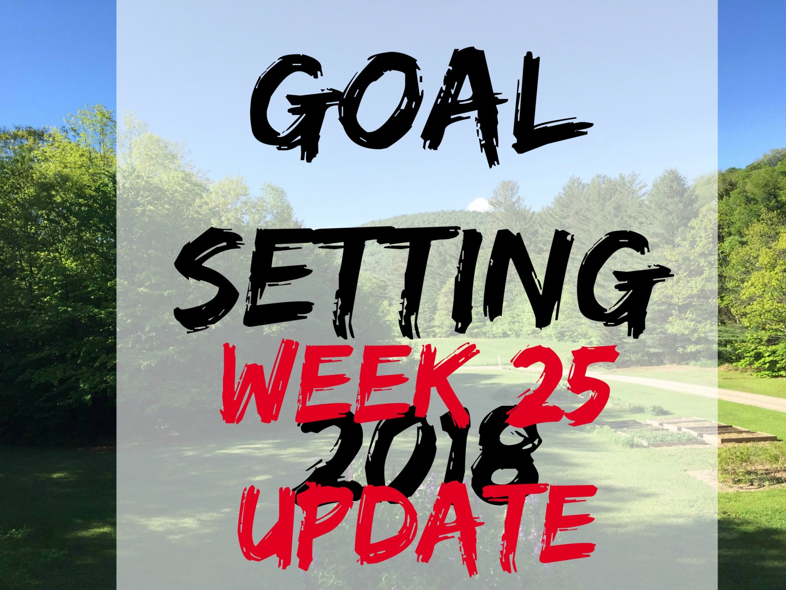 goal setting spring25
