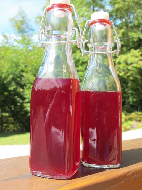 Bottled Blueberry Vinegar