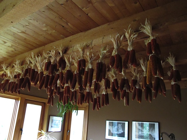 corn, drying techniques