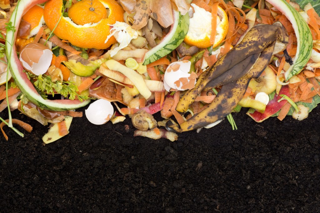 What To Do With Food Scraps?
