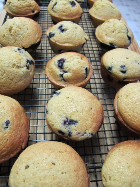 Blueberry Muffins ready to eat!