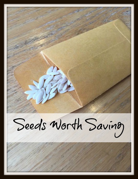 Seeds Worth Saving