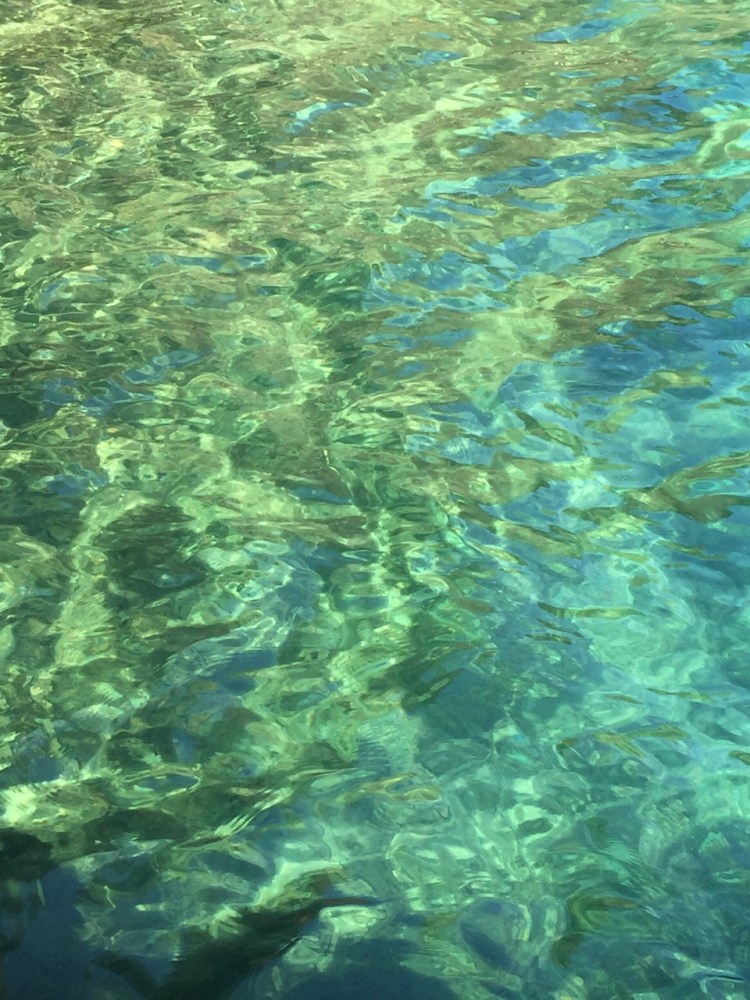 Exploring the Pacific Northwest