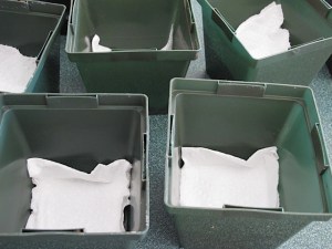 transplanting vegetable seedlings, prudent living