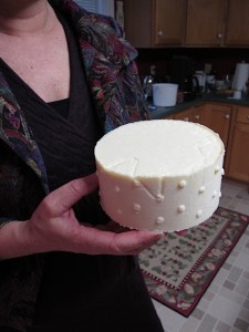 Almost finished hard cheese, cheese making
